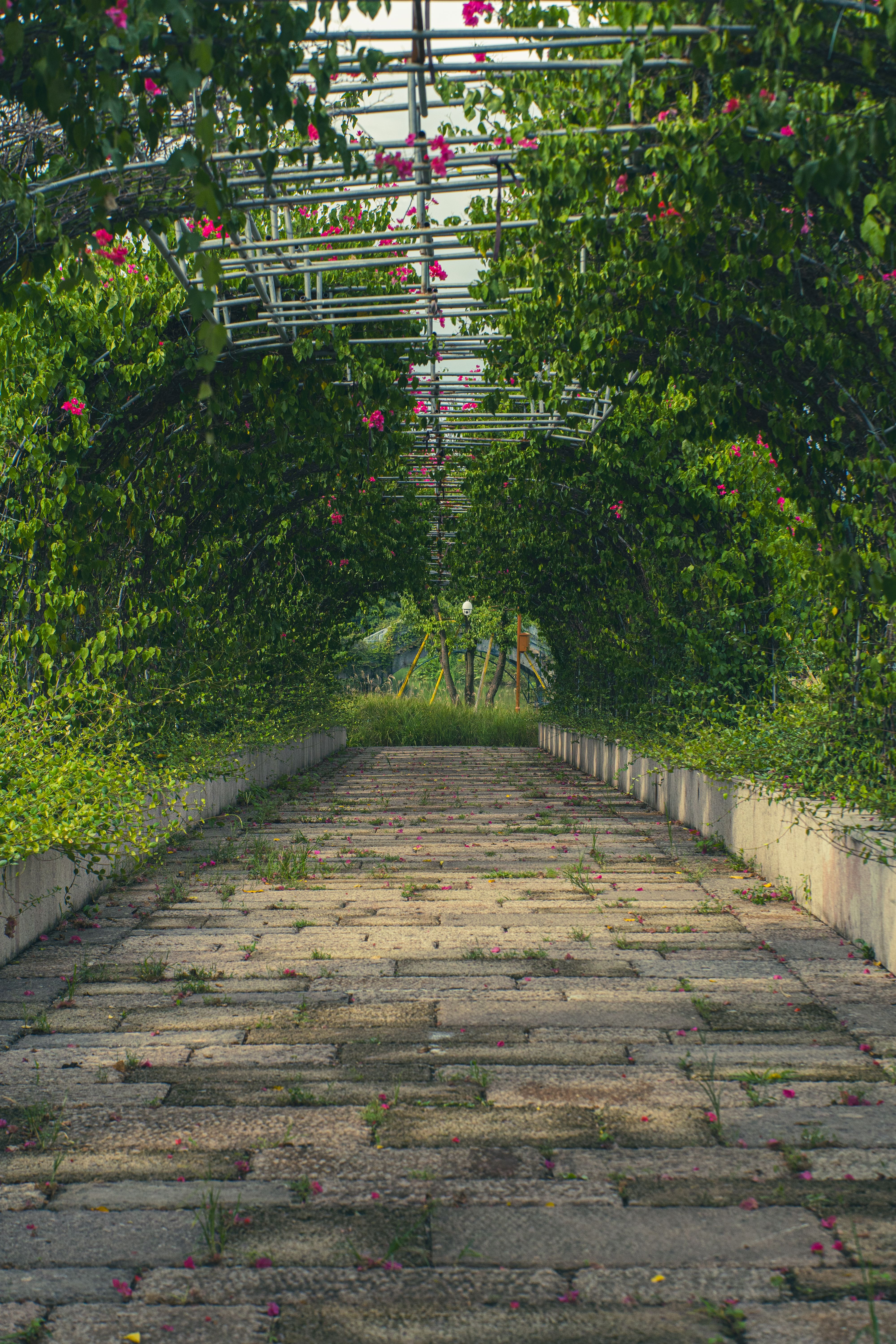 The misty greenhouse of Xiamen Botanical Garden