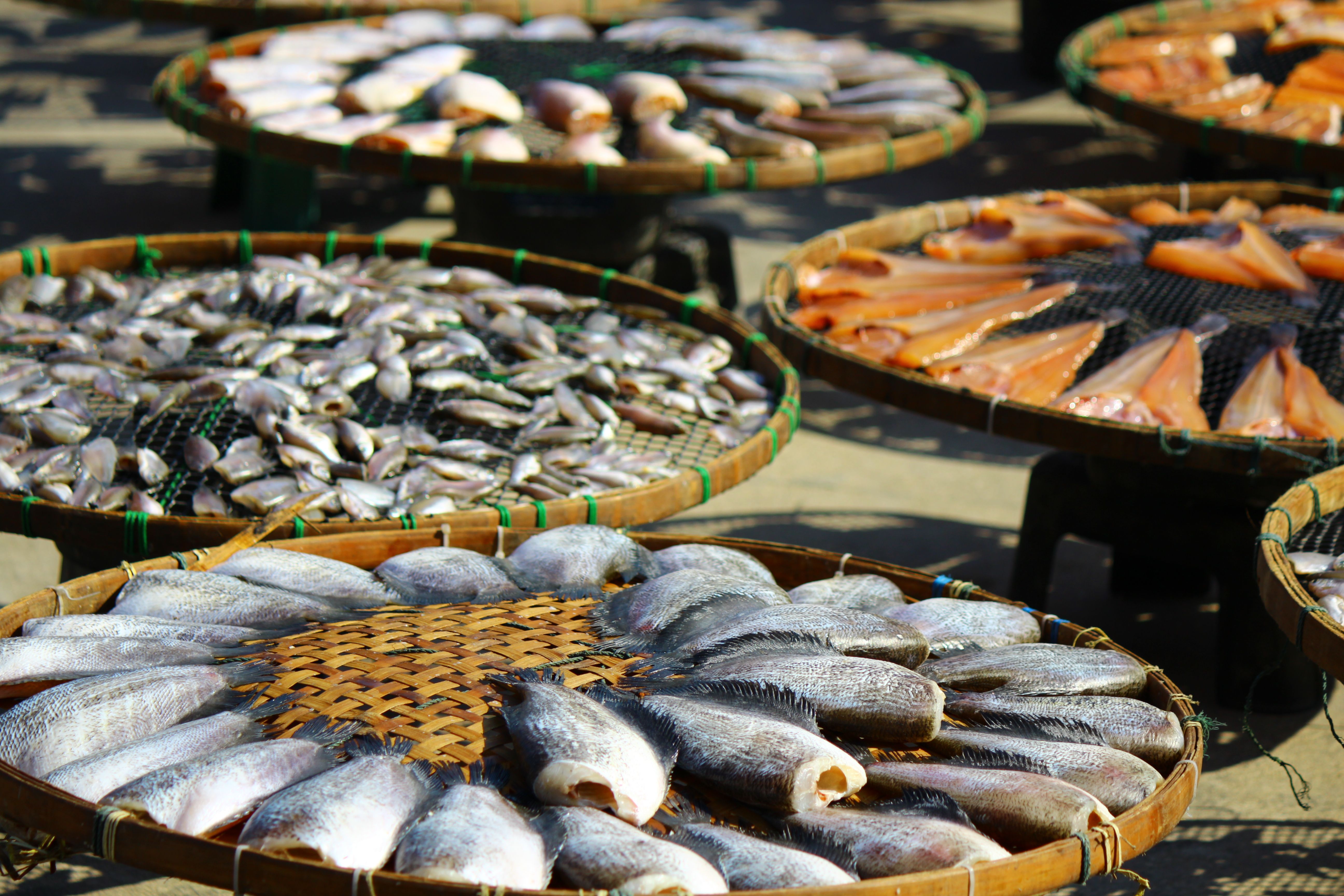 Dried seafood at a market stall