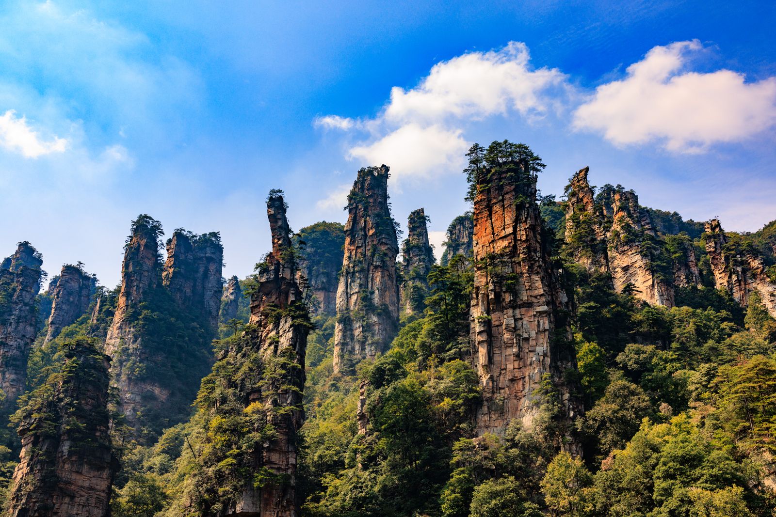 Towering sandstone pillars of Zhangjiajie — the Avatar Mountains — rising above lush green forest under a bright blue sky